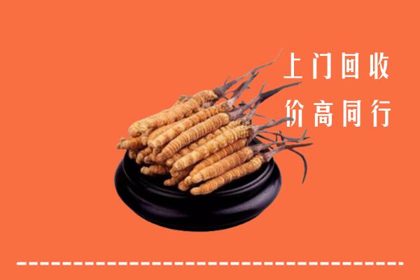 高价求购：荷泽回收散虫草