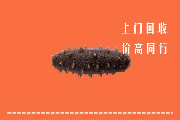 高价求购：荷泽回收海参
