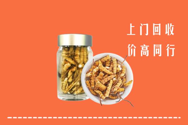 荷泽回收冬虫夏草