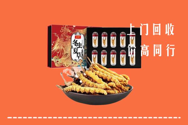 荷泽回收虫草